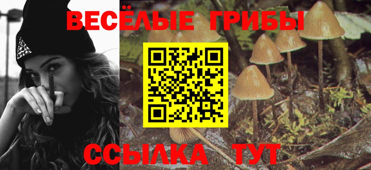 Псилоцибиновые грибы MAGIC MUSHROOMS  Вход с VPN  Пыть-Ях 